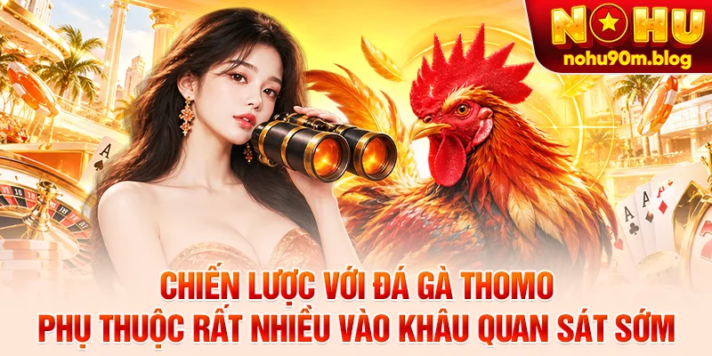 Chiến lược với đá gà Thomo phụ thuộc rất nhiều vào khâu quan sát sớm
