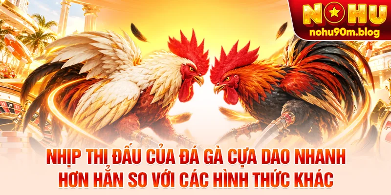 Nhịp thi đấu của đá gà cựa dao nhanh hơn hẳn so với các hình thức khác