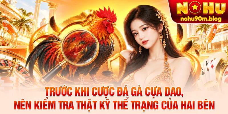 Trước khi cược đá gà cựa dao, nên kiểm tra thật kỹ thể trạng của hai bên
